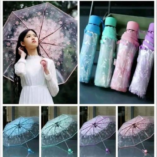 ☂️ট্রান্সপারেন্ট ছাতা☂️