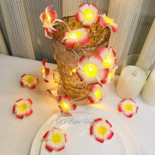 Artificial Plumeria String Light, Led kathgolap Flower Fairy Light