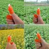 Silicone Finger Protector for vegetables cutting (6 Pieces) 1 Set