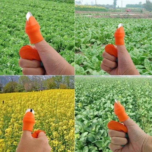Silicone Finger Protector for vegetables cutting (6 Pieces) 1 Set