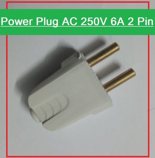 2 pin plug
