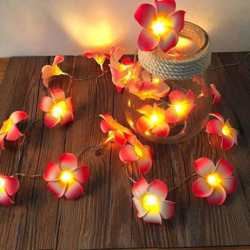 Artificial Plumeria String Light, Led kathgolap Flower Fairy Light