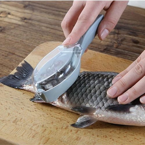 Plastic Fish Scales Remover Fast Cleaning Fish Skin Descaler With Cap