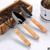 3pcs mini garden tools