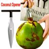 Coconut Hole Opener/Coconut Opener/Coconut Cutter/Dab Opener