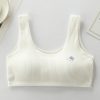 Premium Soft Cotton Ribbed Training Bra for Teenagers and Junior Girls - Multi-Color Pack
