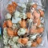 WhatsApp Image 2026-02-28 at 14.32.52 (1) Rose Flower Fairy String Light - LEDs Modes change - Room Decoration Light
