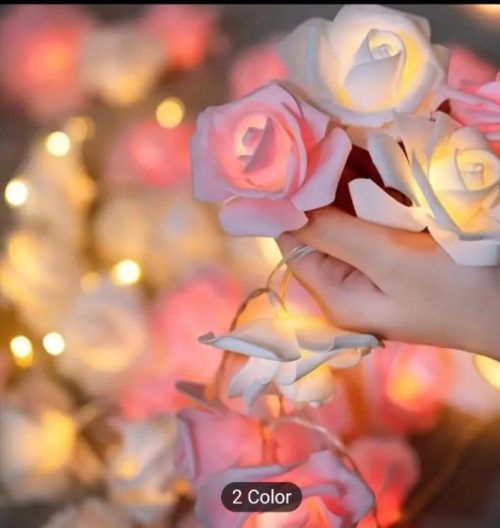 prod-5446927.9271b162-86c3-479a-b31b-ccc6dd183117 Rose Flower Fairy String Light - LEDs Modes change - Room Decoration Light